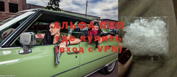 мет Алексин