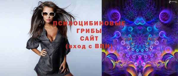 мет Алексин